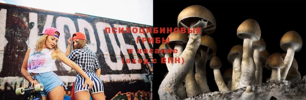 стафф Аркадак