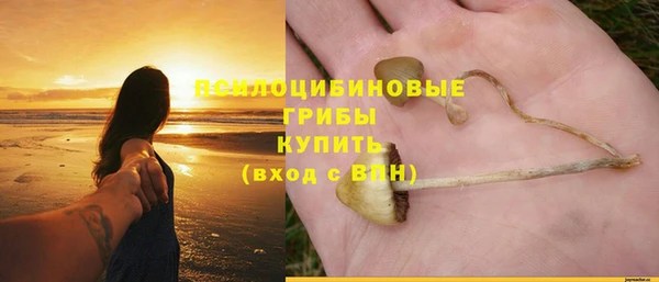 ешки Армянск