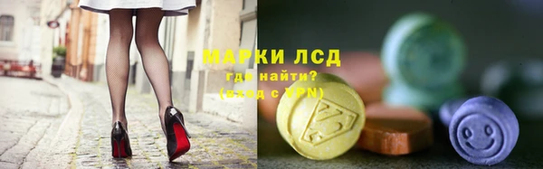 стафф Аркадак