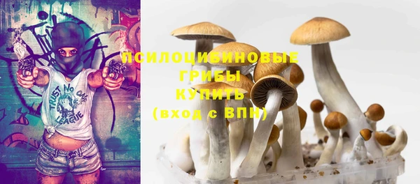 прущий лед Арсеньев