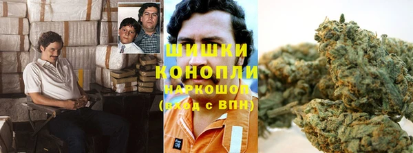 стафф Аркадак