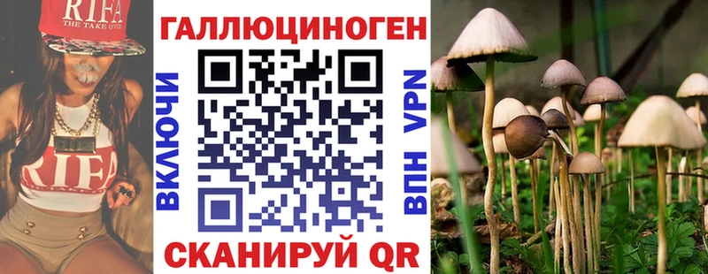 где продают наркотики Саров darknet какой сайт Псилоцибиновые грибы Psilocybine cubensis