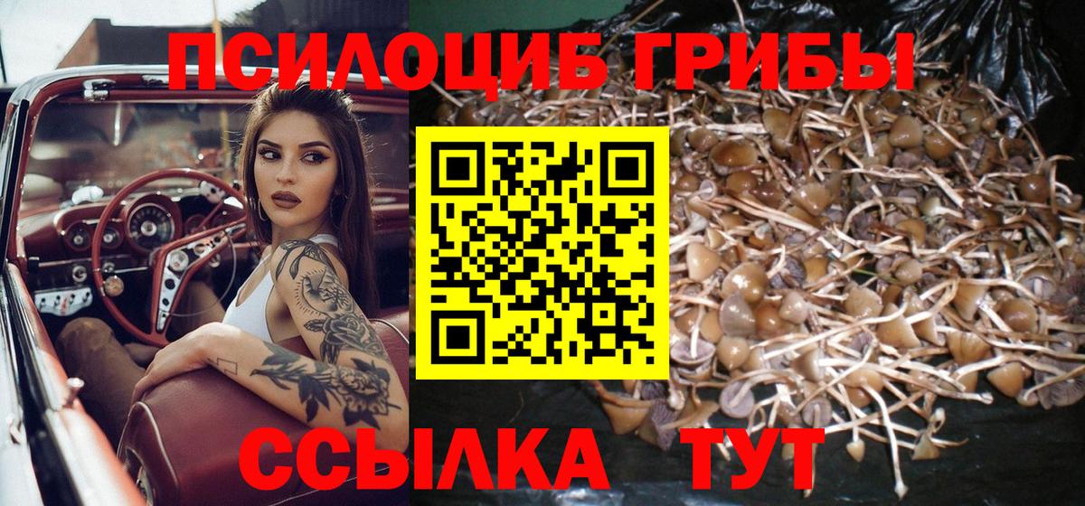 Галлюциногенные грибы ЛСД  Вход с VPN  Саров  Галлюциногенные грибы мухоморы 